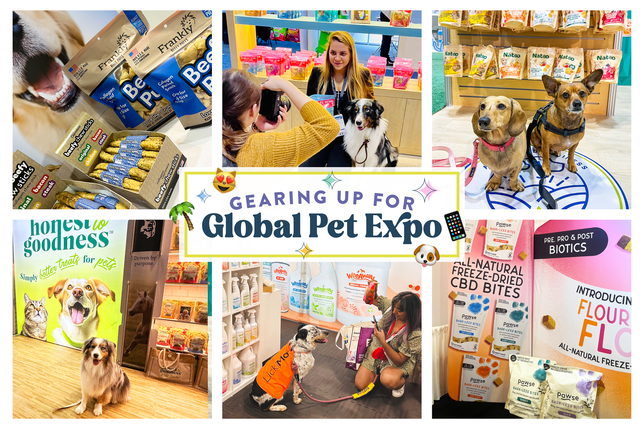 Read more about the article Gearing Up for Global Pet Expo 2025