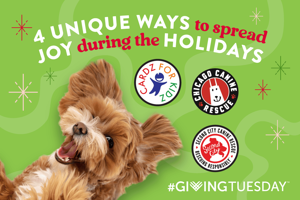 Read more about the article 4 Unique Ways to Spread Joy During the Holidays