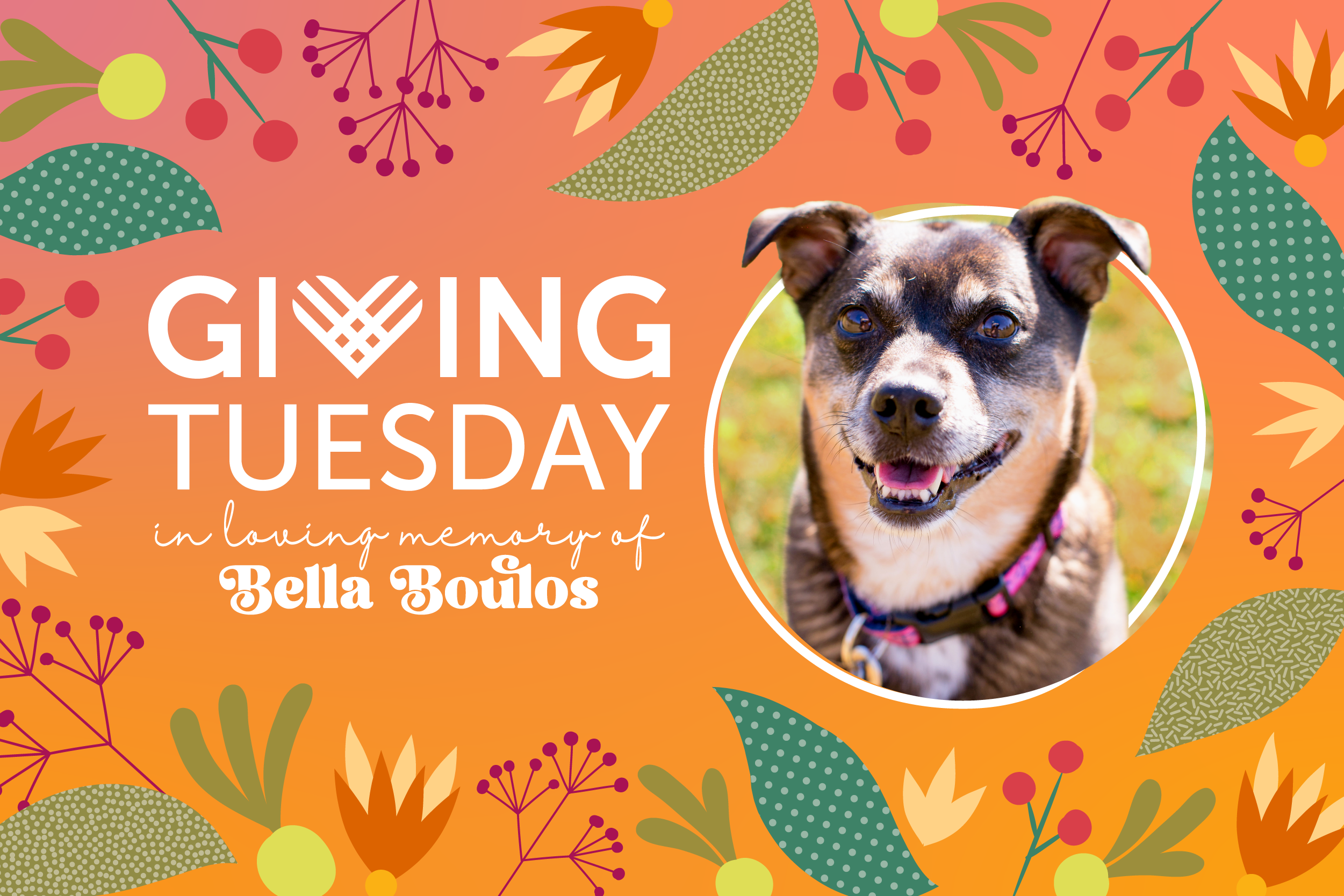 Read more about the article Celebrating Bella’s Legacy: Make a Difference with Matrix Partners This Giving Tuesday