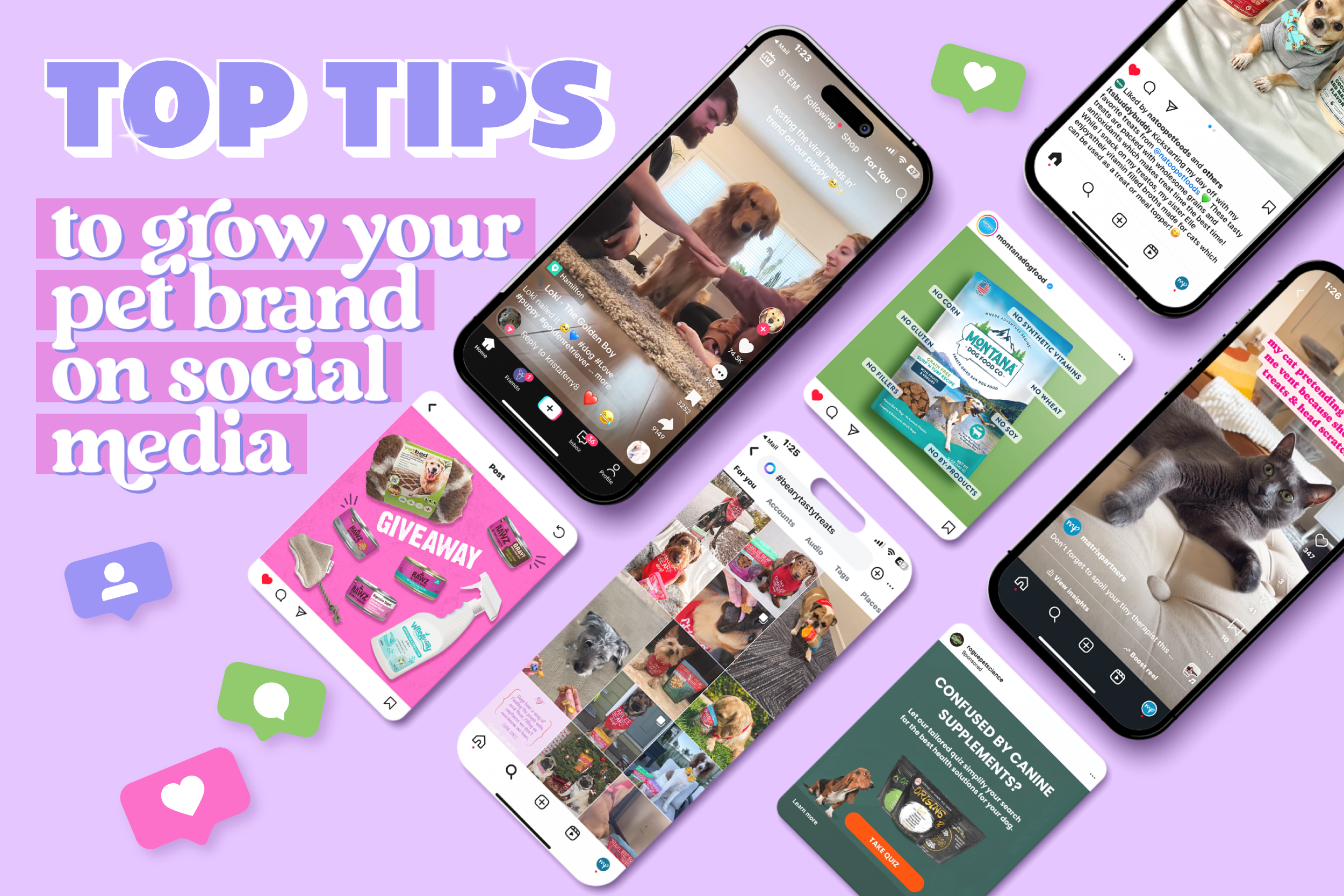 Read more about the article Top Tips to Grow Your Pet Brand on Social Media
