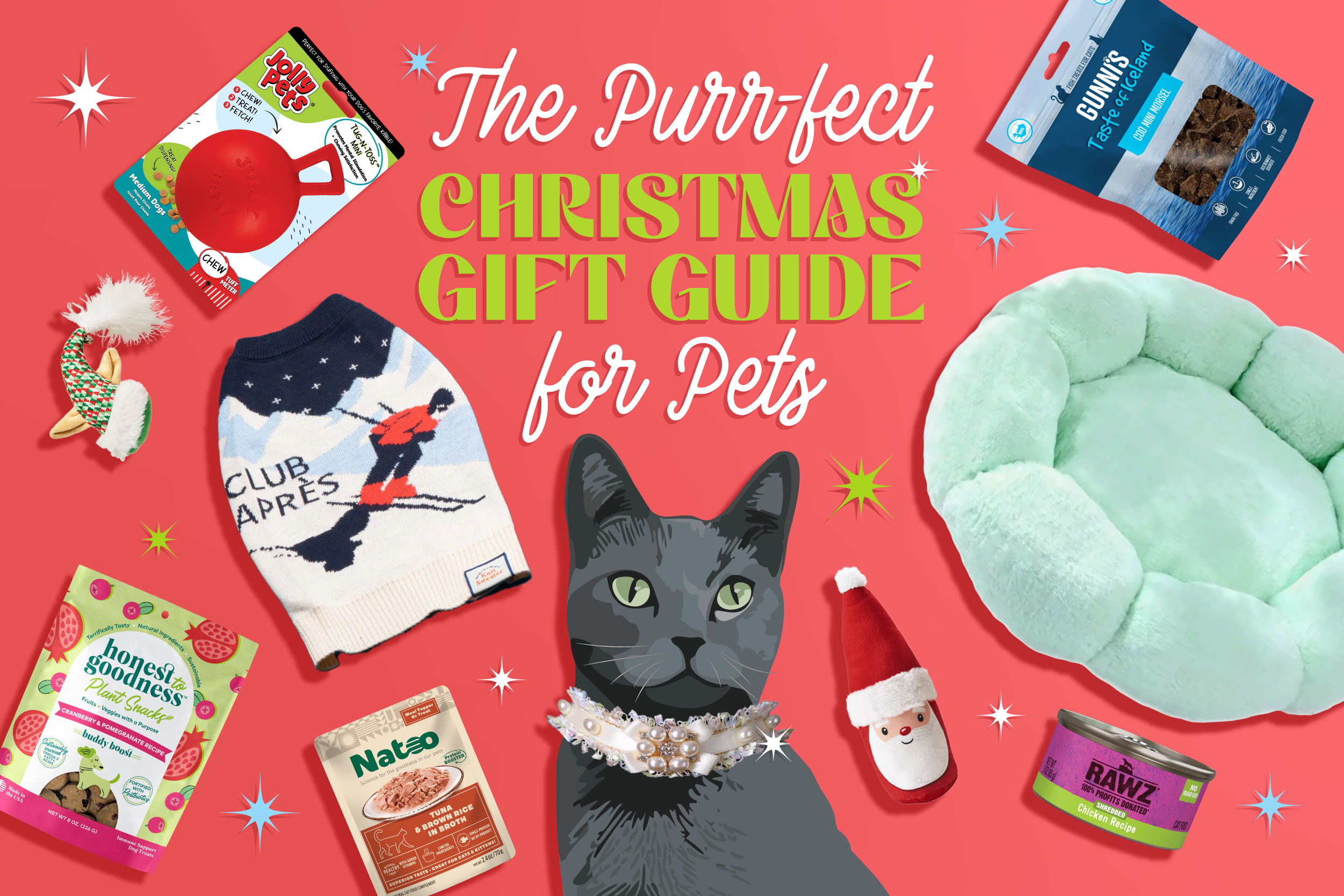 Read more about the article The Purr-fect Christmas Gift Guide for Pets