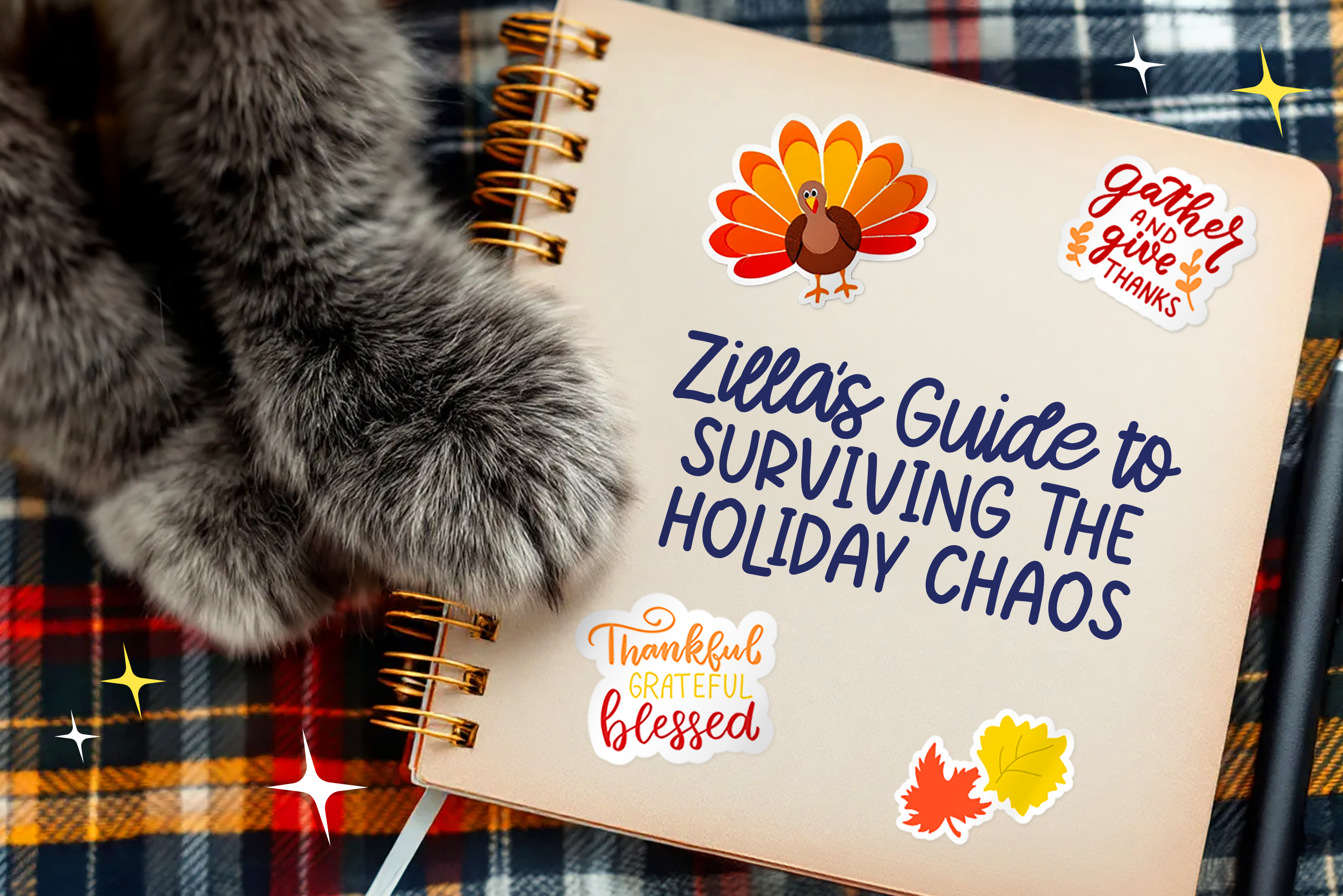 Read more about the article Zilla’s Guide to Surviving the Holiday Chaos