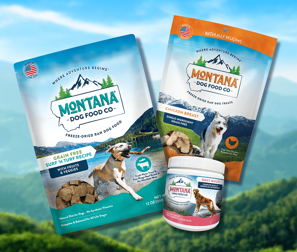 Cohesive Brand Identity