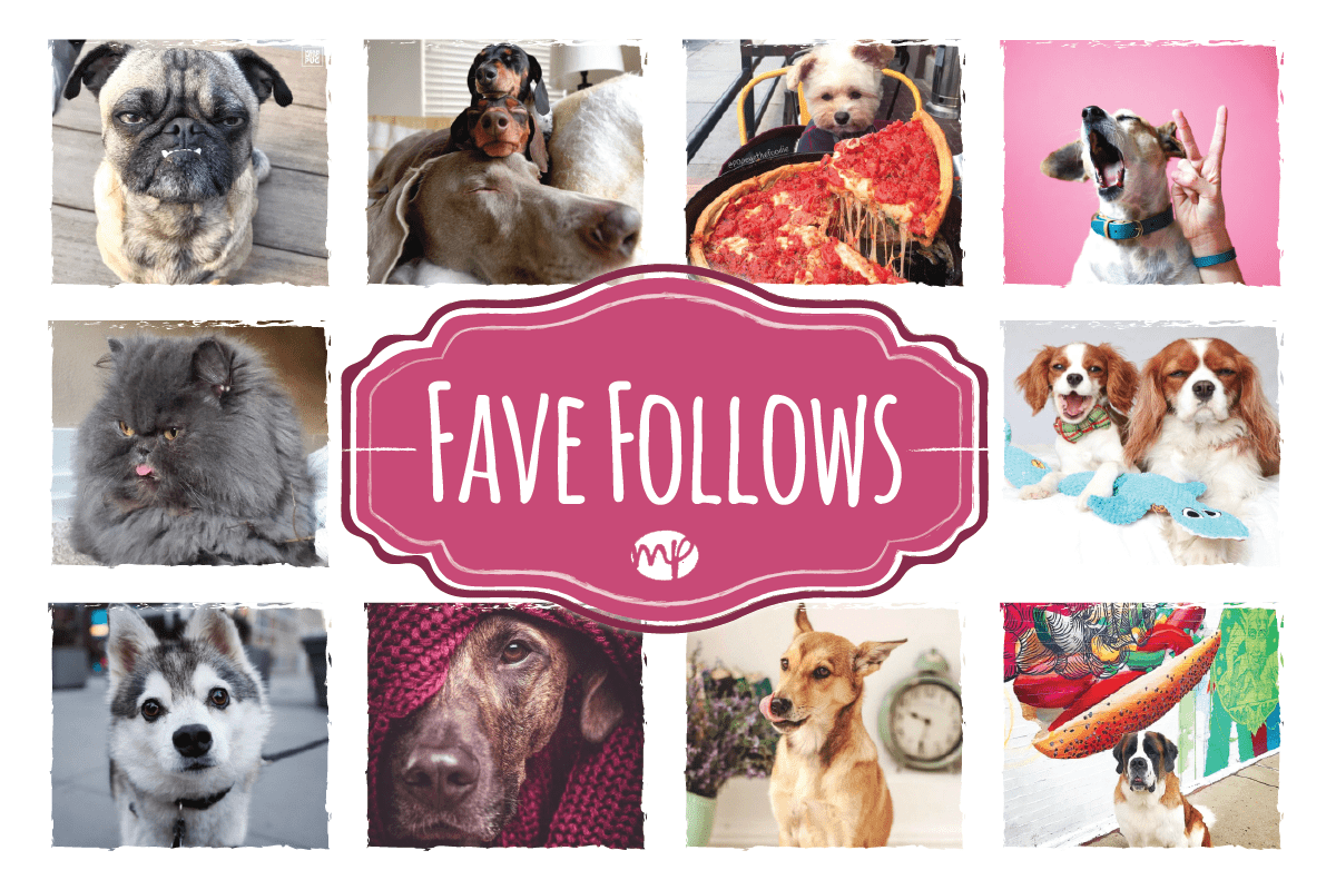 Read more about the article Fave Follows