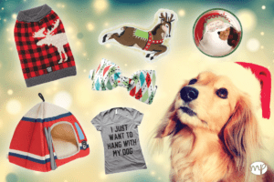 Matrix Partners Holdiday Pet Blog