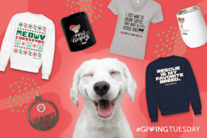 Giving Tuesday Support Your Local Shelters