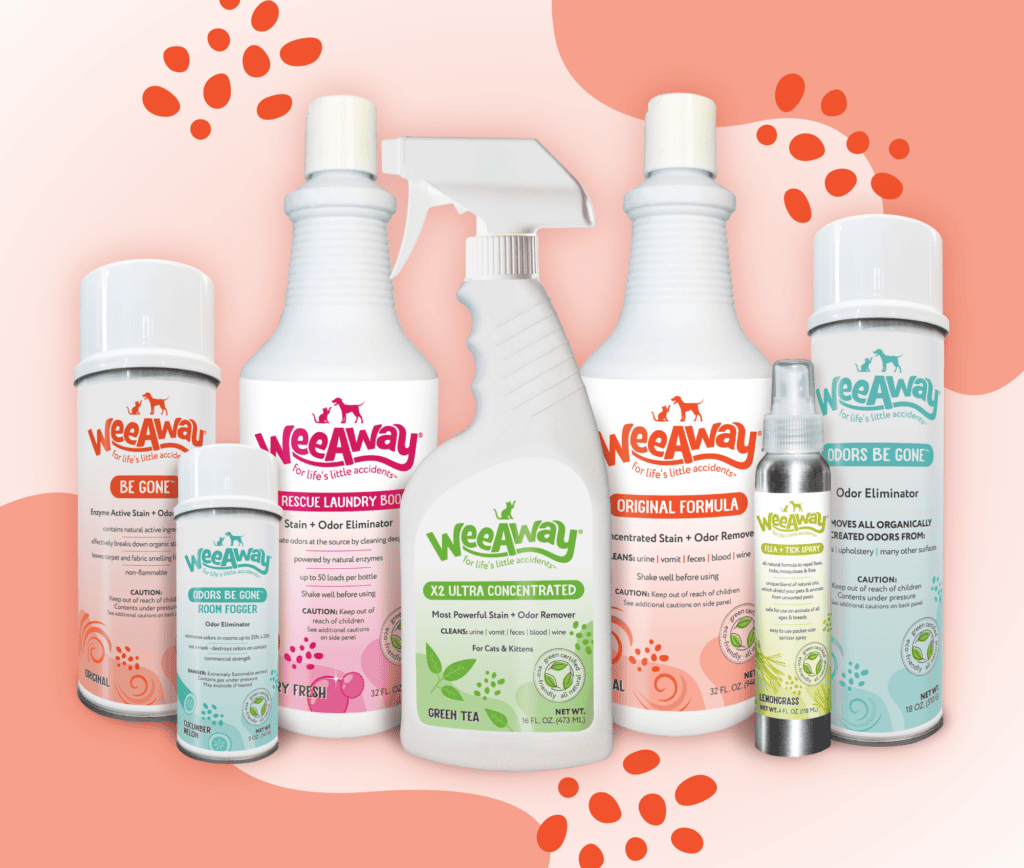 layout of products featuring packaging redesign